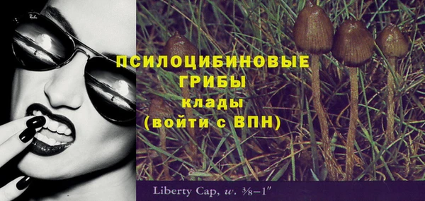стафф Покачи